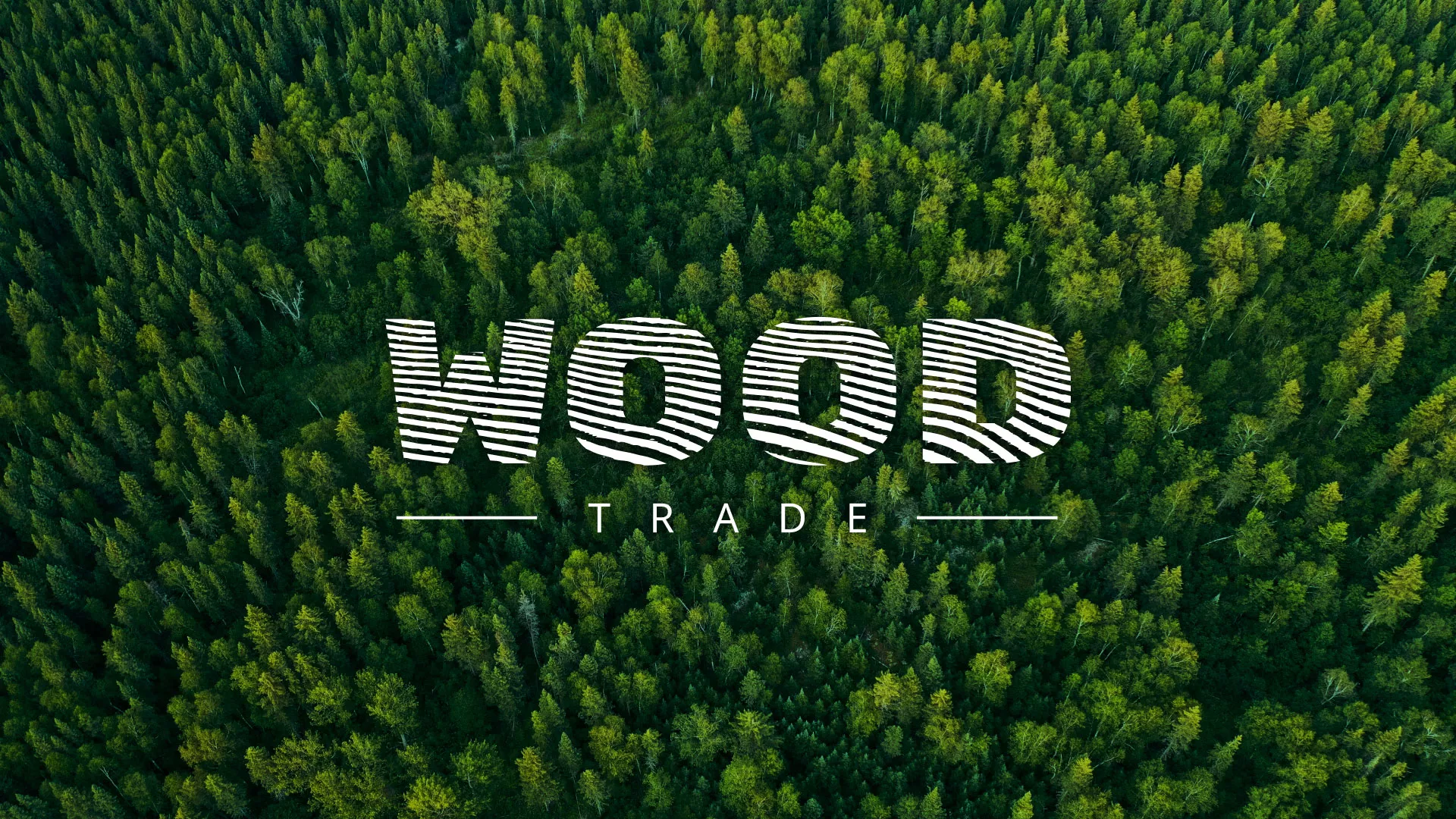 Разработка интернет-магазина компании «Wood Trade» в Шуе